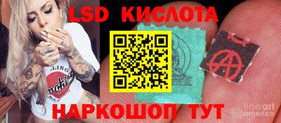 твердый Будённовск
