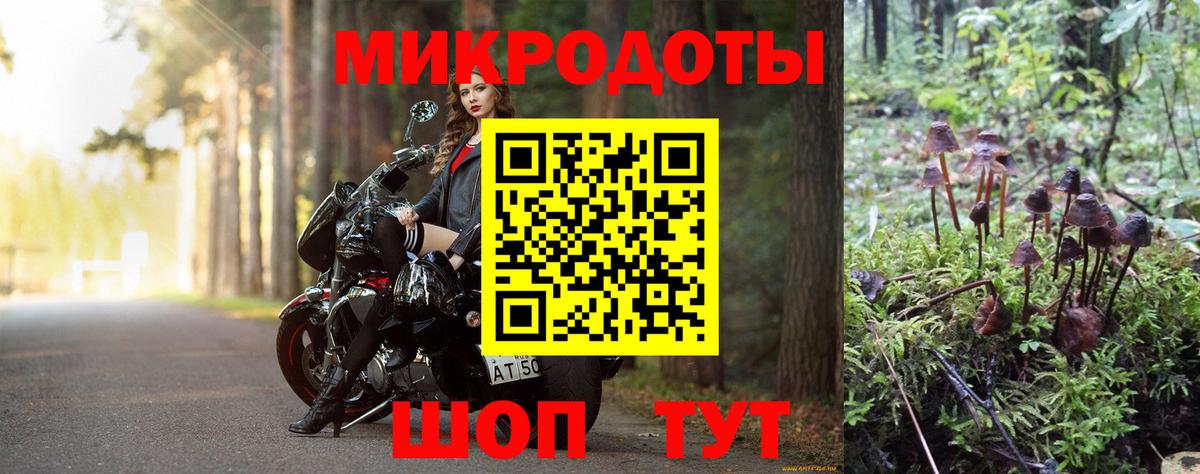Псилоцибиновые грибы Psilocybine cubensis Алапаевск